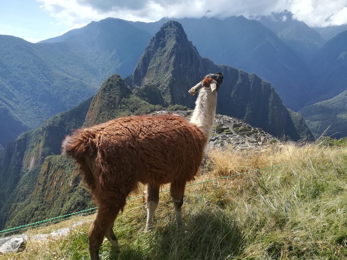 ホテル Golden Sunrise Machupicchu エクステリア 写真